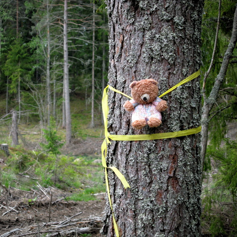 Grausam gefolterter Teddybär im Wald bei Finspång/Südschweden