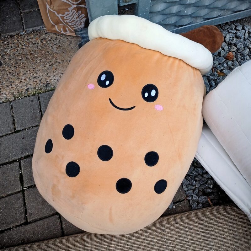 Aussortiert: nachlässig entsorgtes Plüsch-Dingens vor der Müllbox