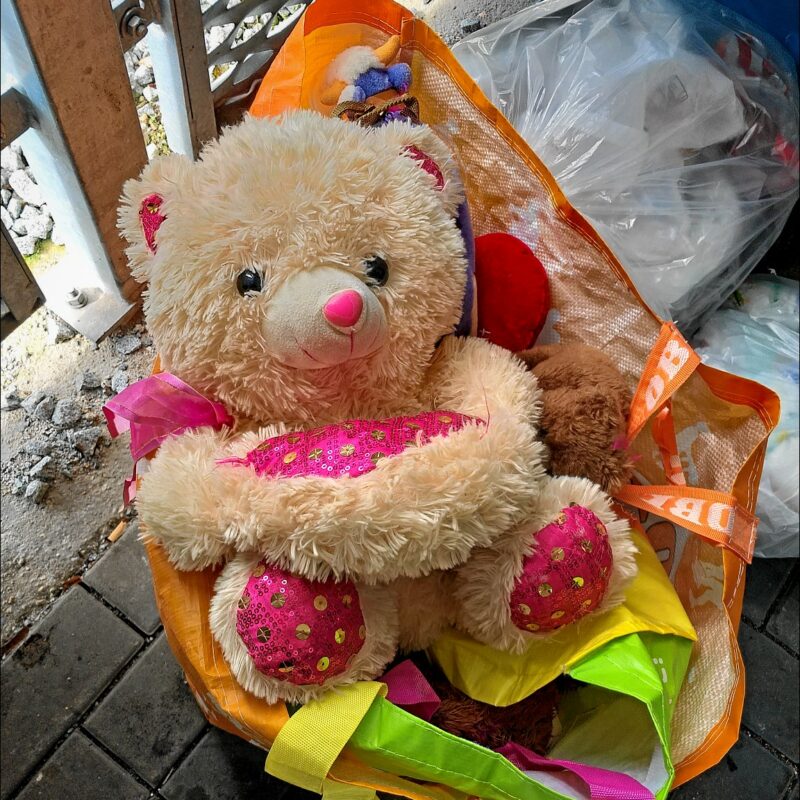 Im nachbarschaftlichen Müllhaus mit allerlei Hausrat ausgesetzte Teddybärin